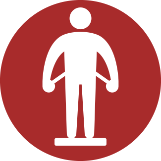 Precise Body Composition Online Training